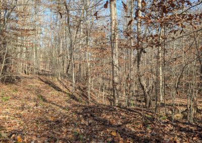 0 Hatton Creek Road