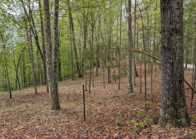 15 Sunrise Mountain Retreat Road